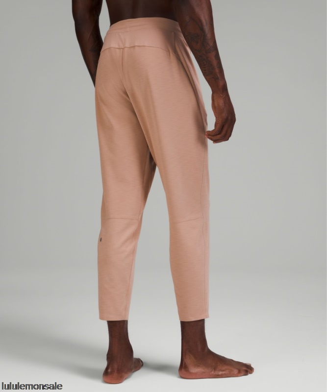Lululemon Deutschland DELULU714 | Balancer Pant 27 Heathered Pink Clay